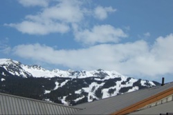 pet friendly vacation rental in whistler canada, vacation rentals with dogs allowed in whistler canada