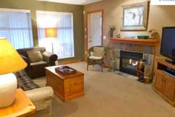 pet friendly vacation rental in whistler canada, vacation rentals with dogs allowed in whistler canada